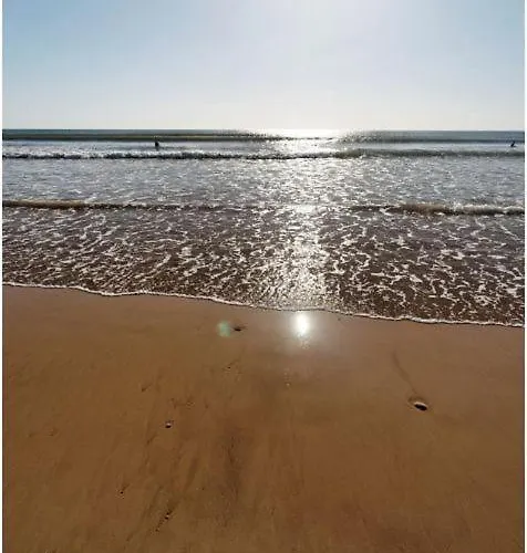 Le Jardin Des Iles *