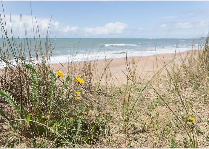 Le Jardin Des Iles Brem Sur Mer