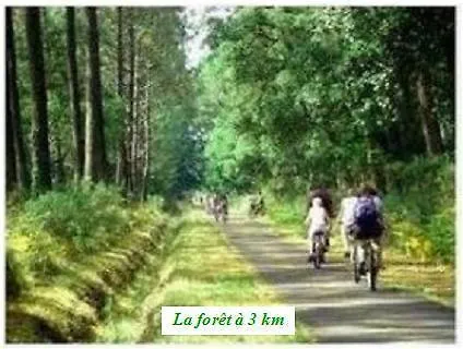 Le Jardin Des Iles